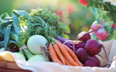 The Dirty Dozen and The Clean Fifteen