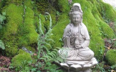 Polcum Springs: Sanctuary of sustainable living