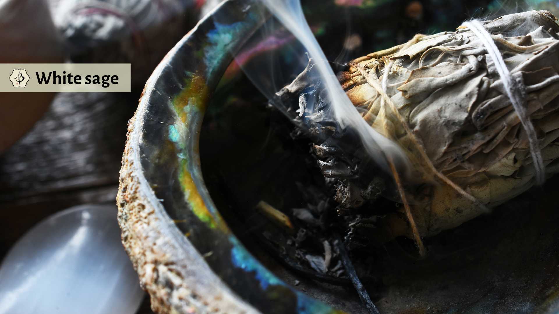White sage smudge