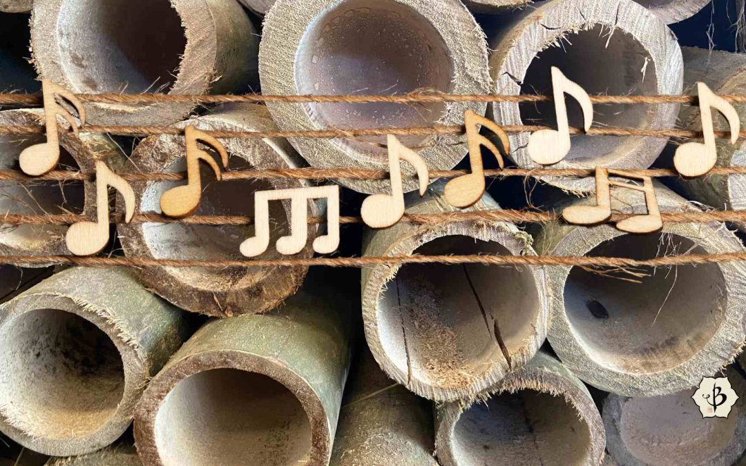 Sustainable sounds: Bamboo iPhone speakers