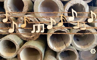 Sustainable sounds: Bamboo iPhone speakers