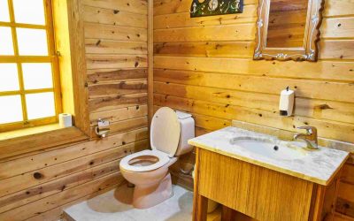 Straight Flush: Clean toilet technology