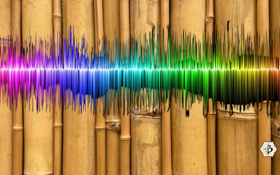 Bamboo beats: Speakers made from bamboo