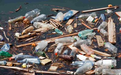 Trash talk: Patches of garbage form the world’s newest country