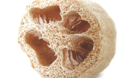 Remain a-luffa: Nipomo Luffa Farm