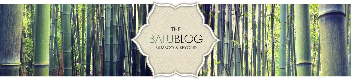 Bamboo blog header