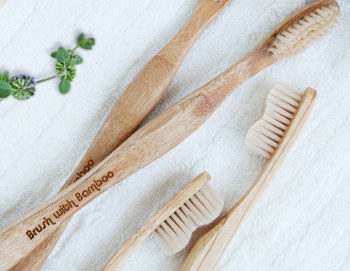 Brush with bamboo toothbrushes