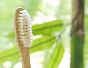 Bamboo toothbrush close-up
