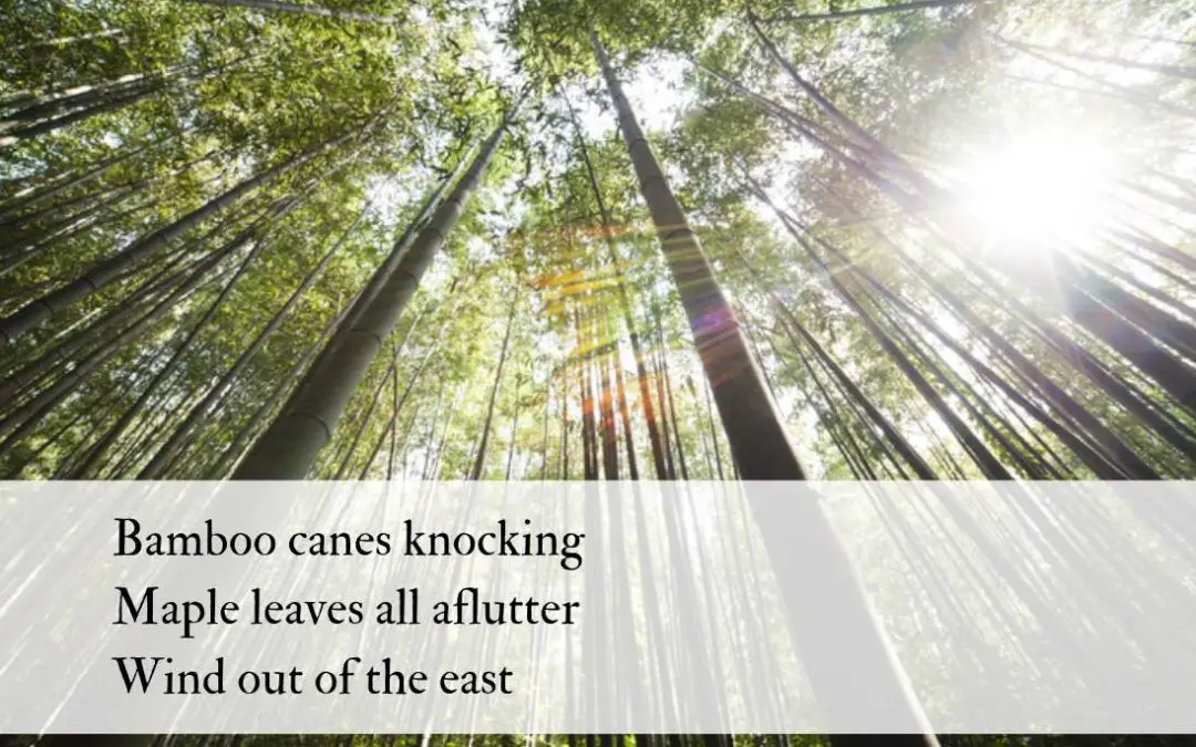 Bamboo and Haiku: Made for each other