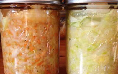 Fermentation Explanation: The Science of Sauerkraut