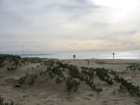 Guadalupe Dunites