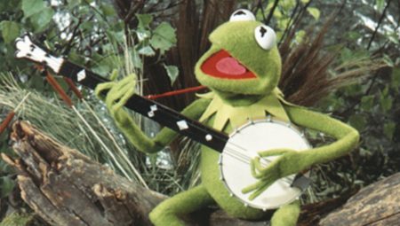 kermit the frog