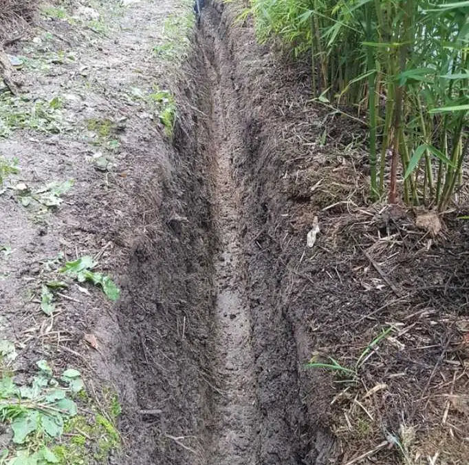 Dig a trench for a bamboo barrier