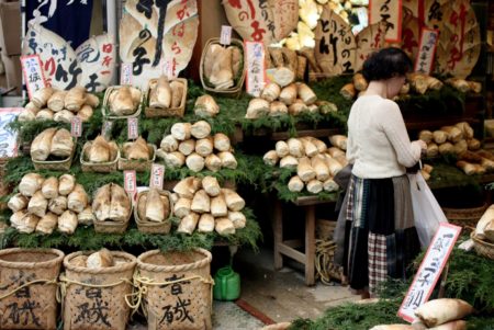 Bamboo shoots in a Japanese market