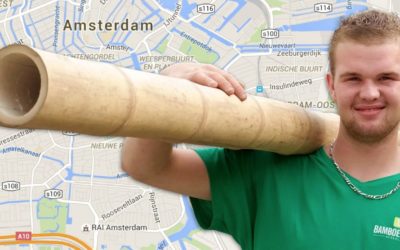 Finding the Best Bamboo Products in Europe