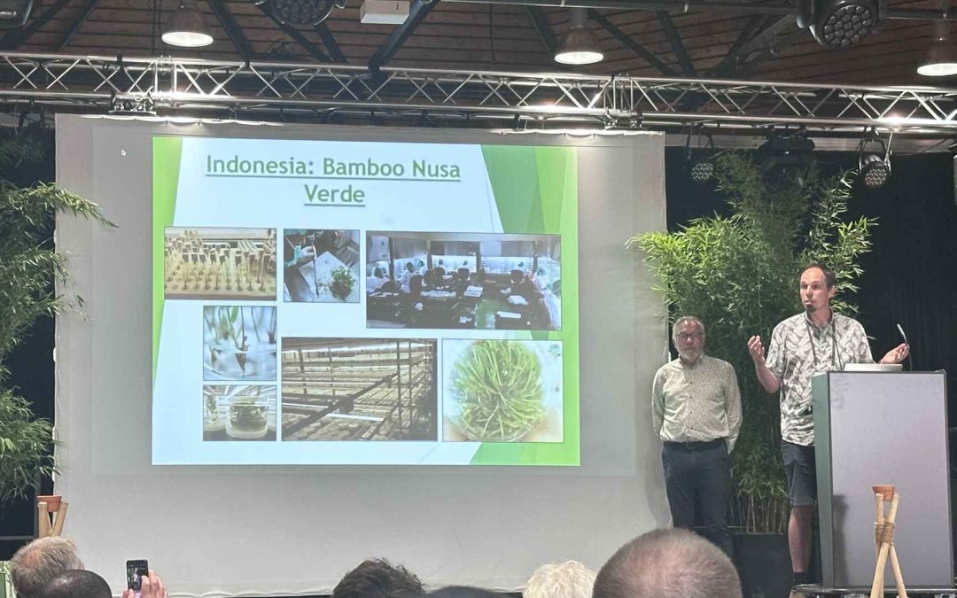 Mark Oprins European Bamboo Expo