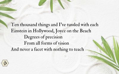 The Ten Thousand Things of Taoism: A meditation on the many