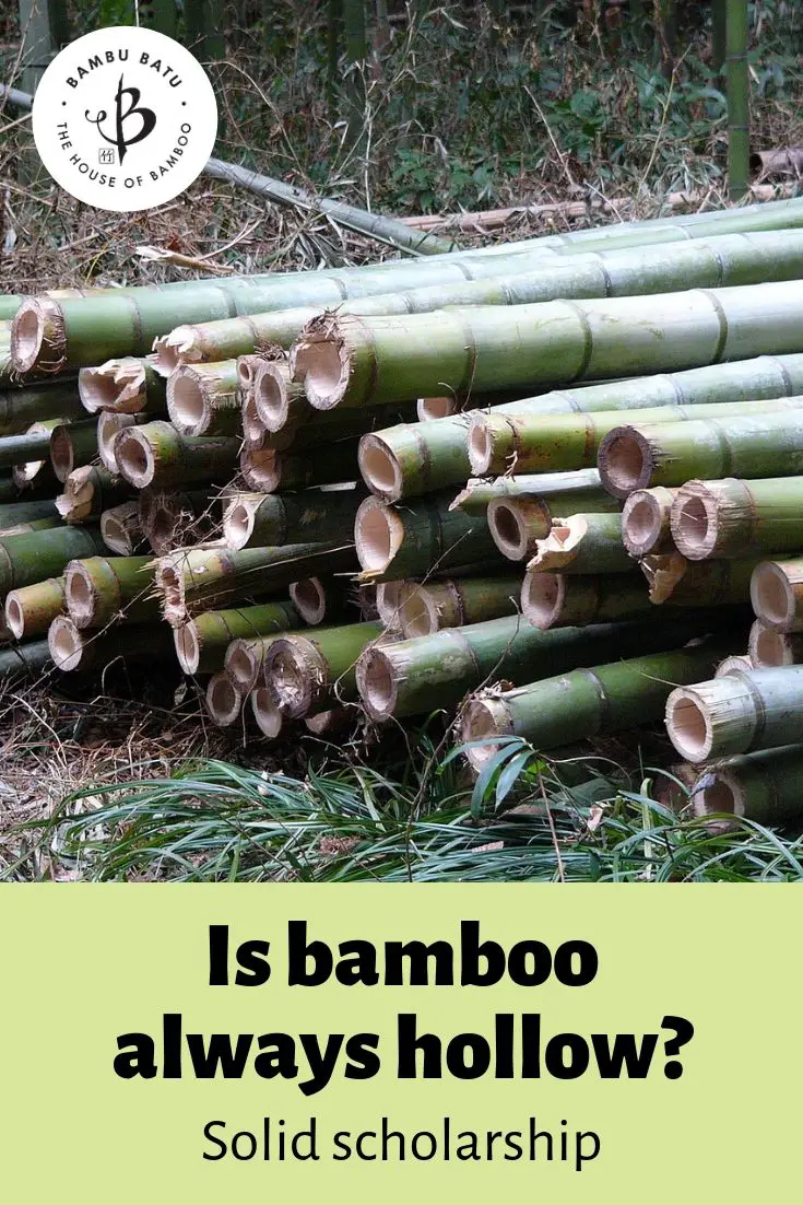 Hollow bamboo pin