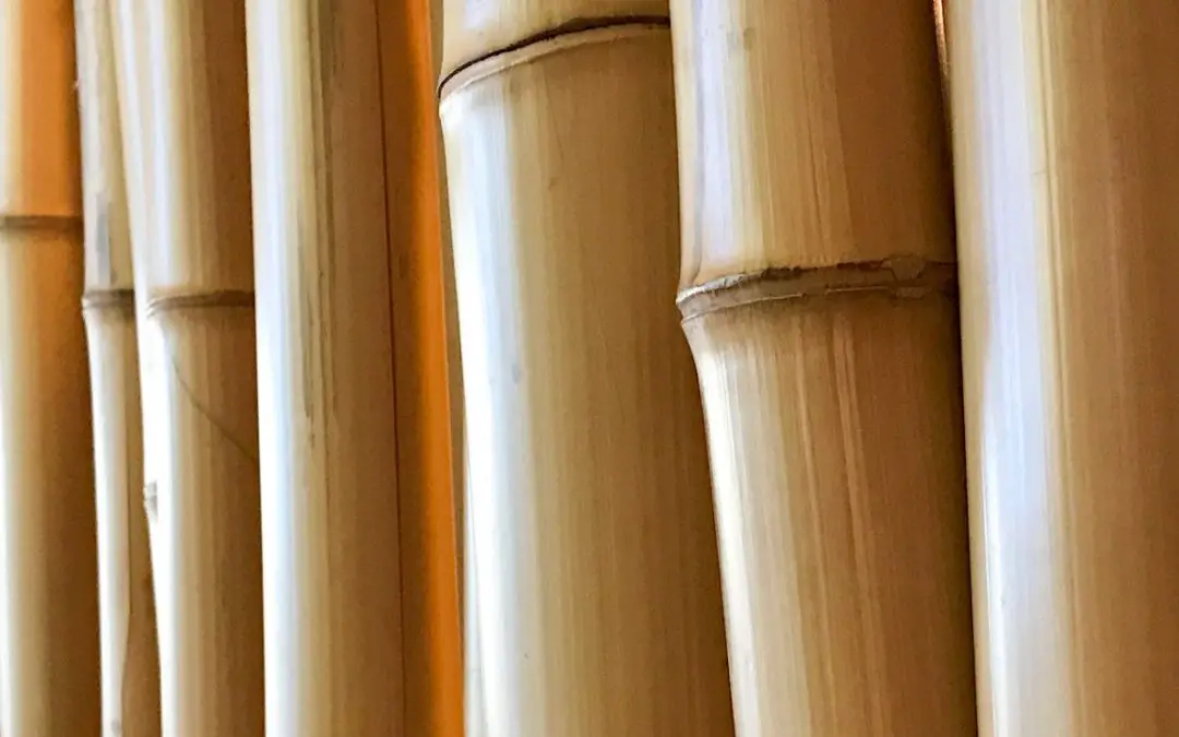 Best bamboo for poles
