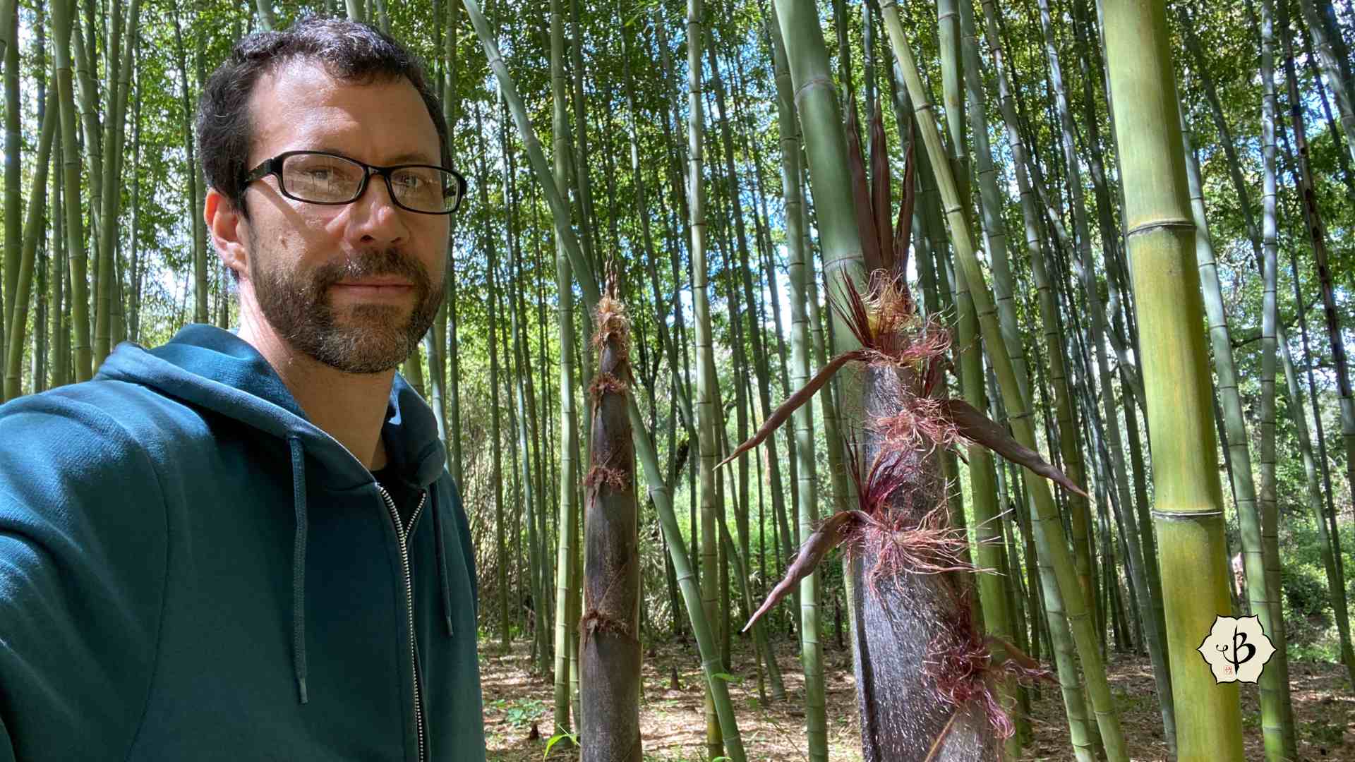 Fred with big Moso Bamboo shoots