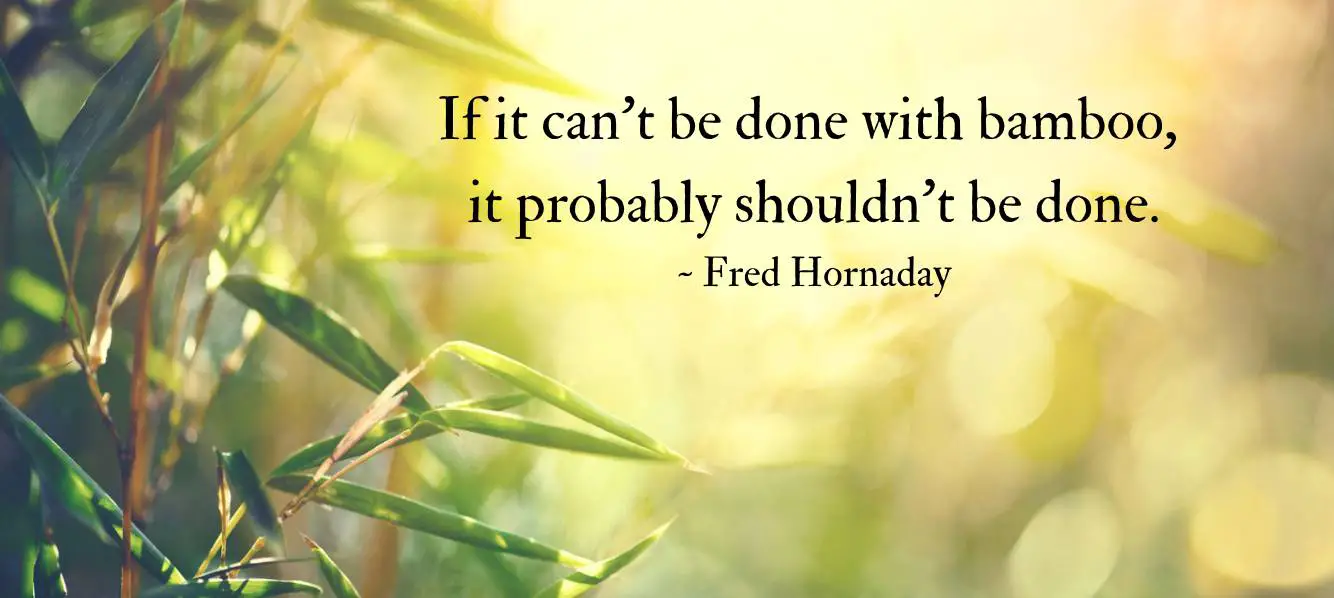 Hornaday bamboo quote