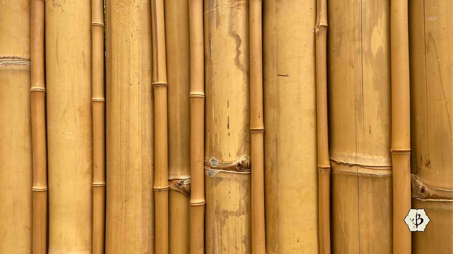 Useful bamboo poles walls fences 