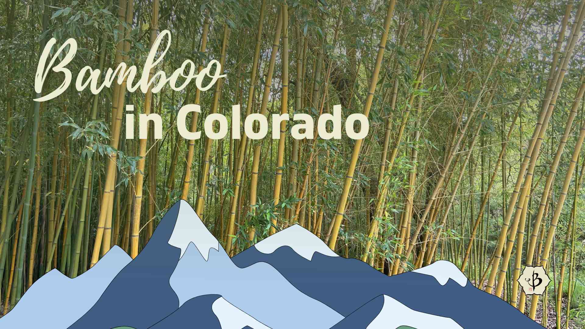 Can Bamboo Grow in Colorado? Thriving Tips Revealed!