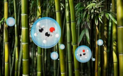 Ethical Ethanol: Fueling the future with bamboo alcohol