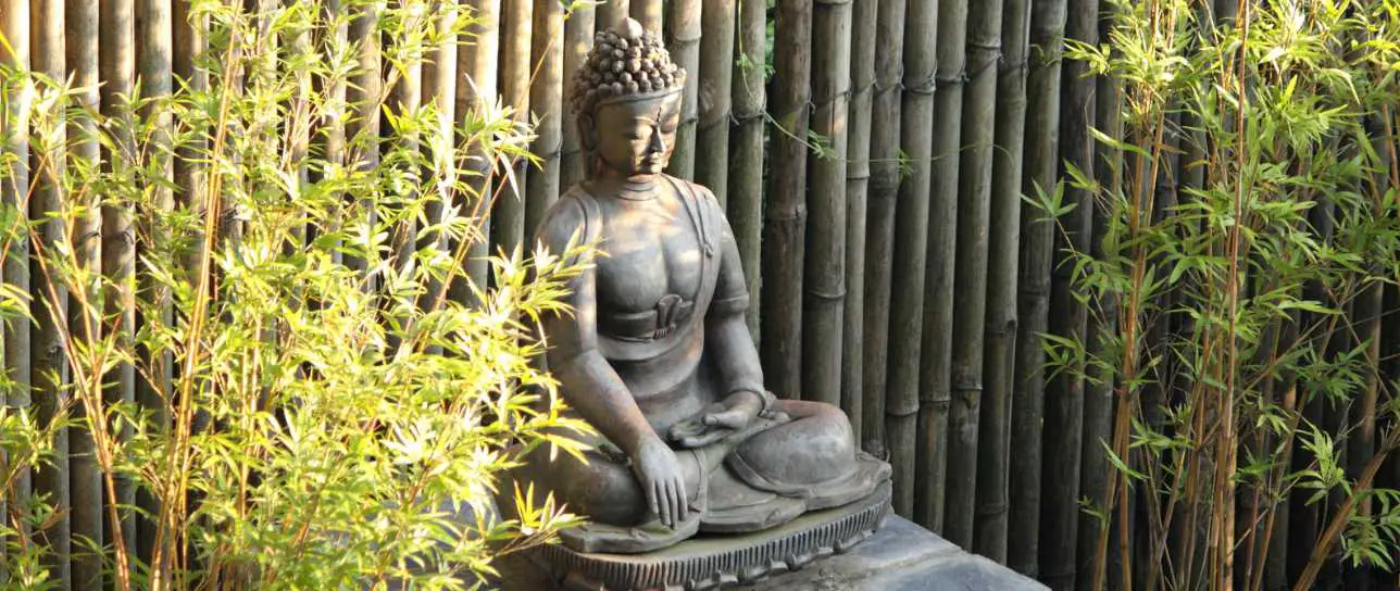 Buddha mindfulness and bamboo