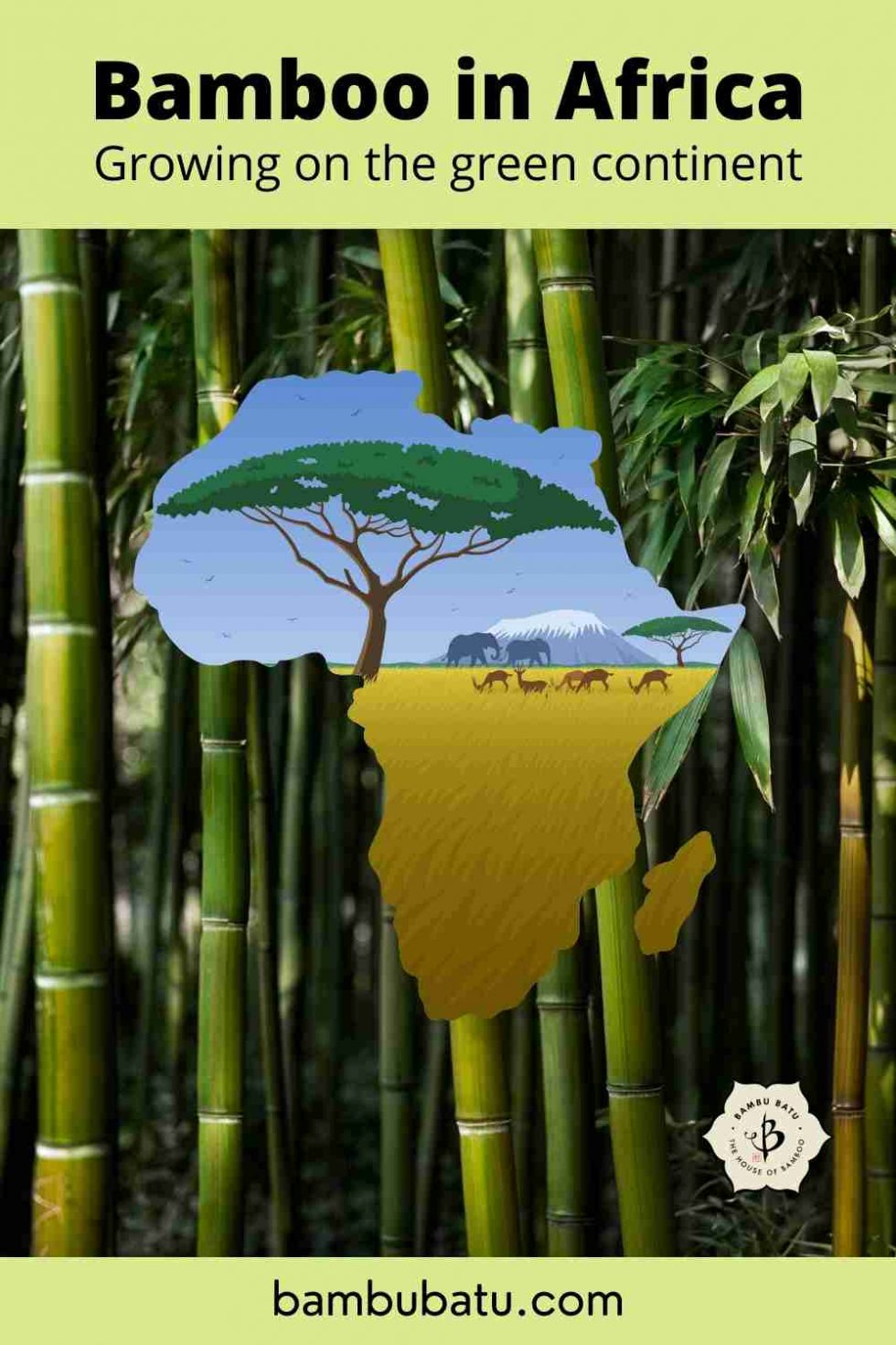 Bamboo in Africa: A green bounty - Bambu Batu