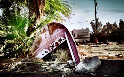 On the Salton Sea: Reclaiming the desert with bamboo