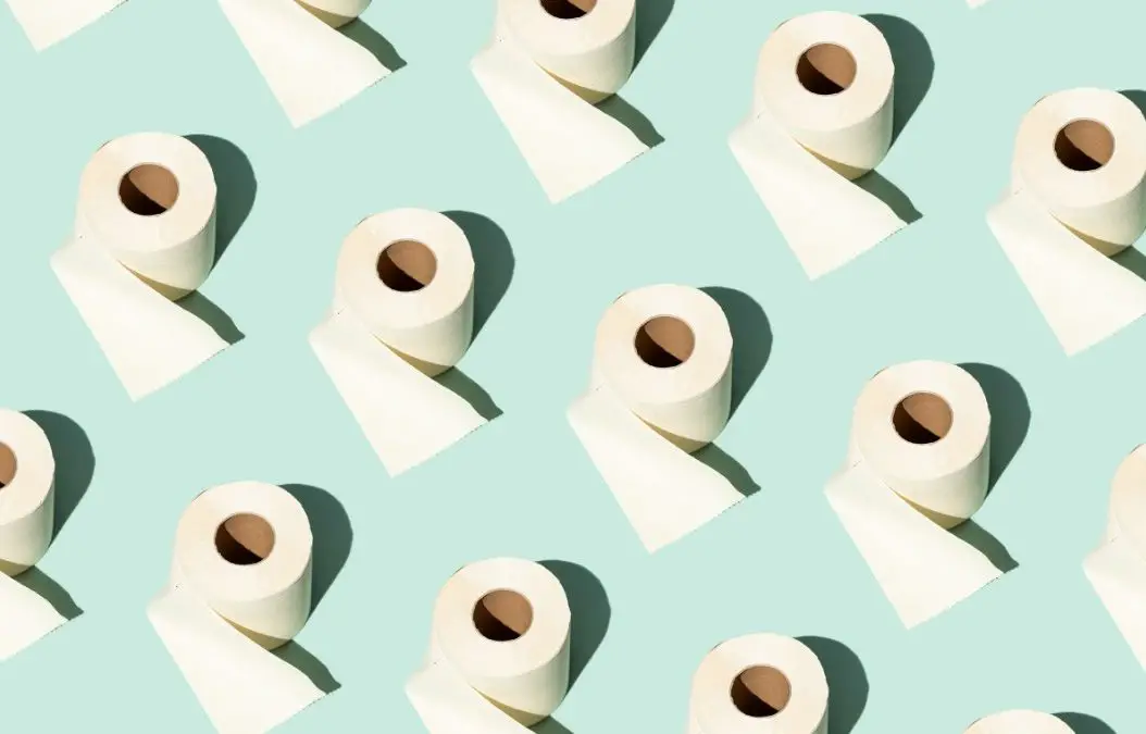Bamboo Toilet Paper: Different sheet different day