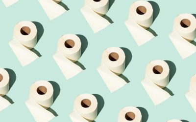 Bamboo Toilet Paper: Roll with it