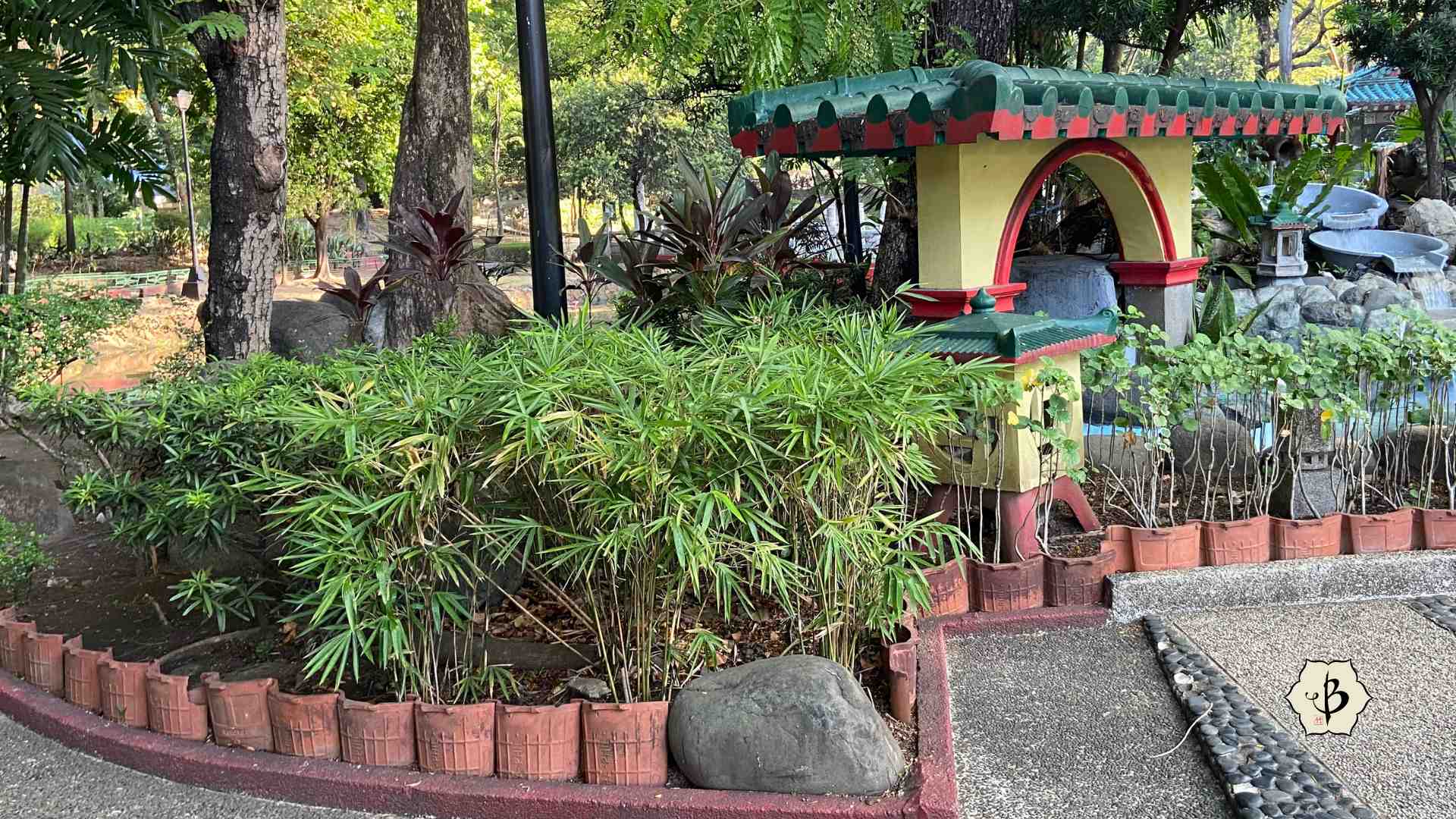 Bamboo in Rizal Park Manila