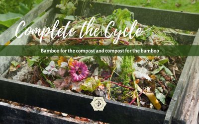 Bamboo Compost: The Cycle of Scraps