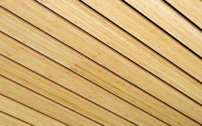 The future of bamboo construction is here: Engineered Bamboo