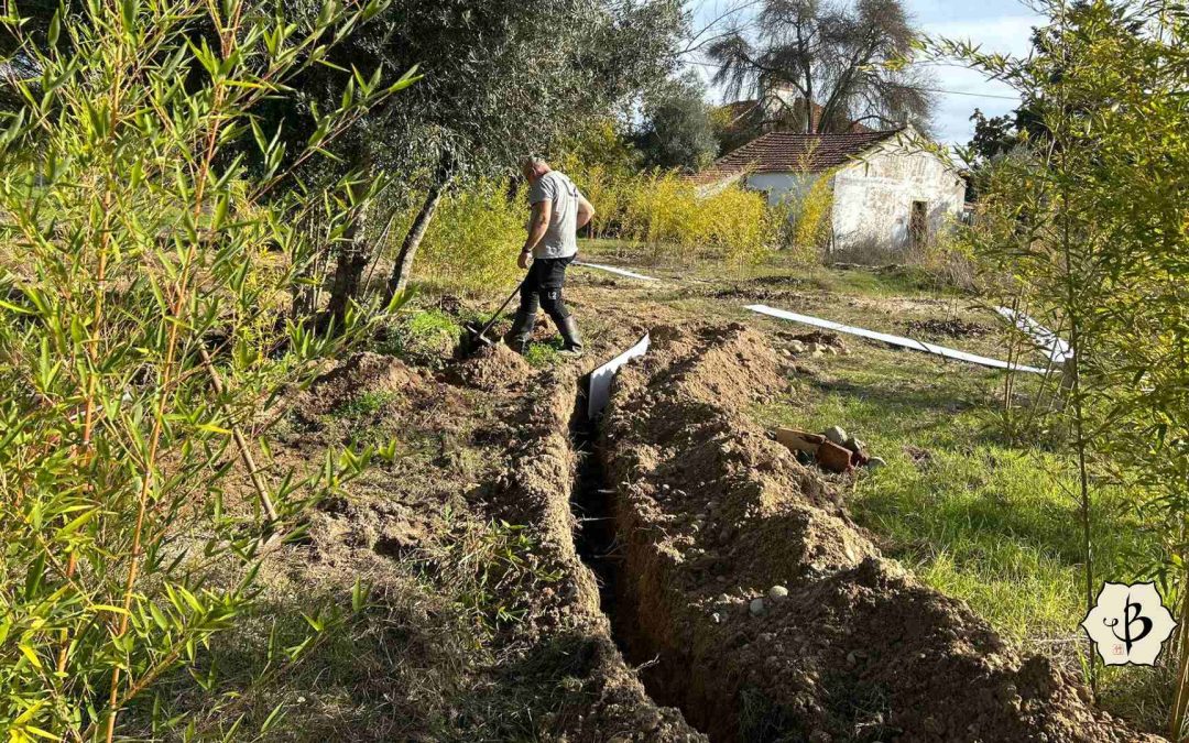 Bamboo barrier trench demo