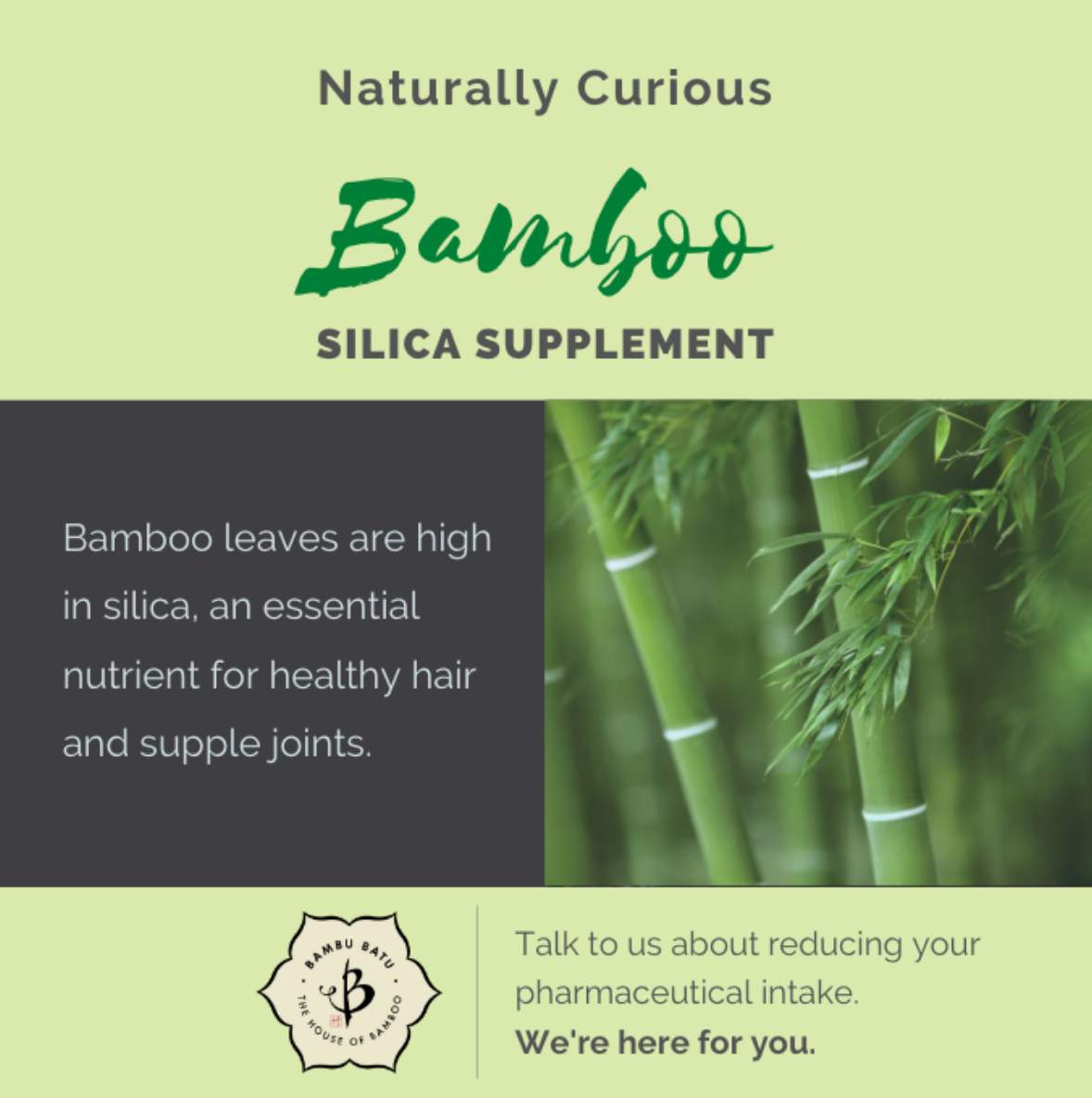 Bamboo for Silica