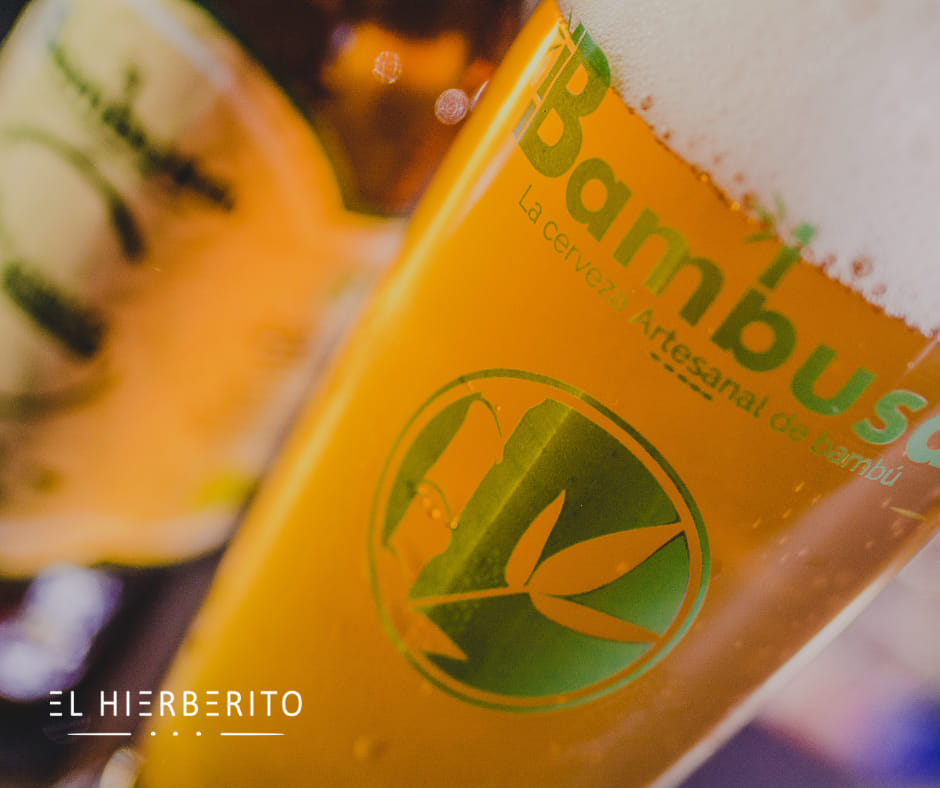 Bambusa by El Hierberito Agosto 2021