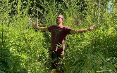 9 Things you didn’t know you could do with bamboo