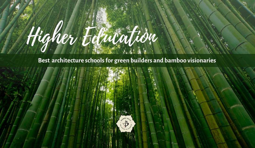 Best architecture schools for bamboo and sustainability