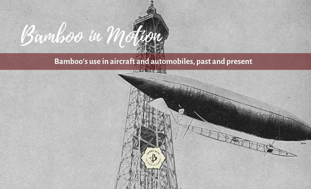 Bamboo in Motion: Cars and planes from bamboo