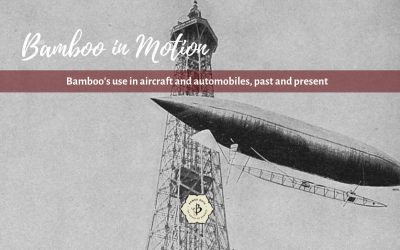 Bamboo in Motion: Cars and planes from bamboo
