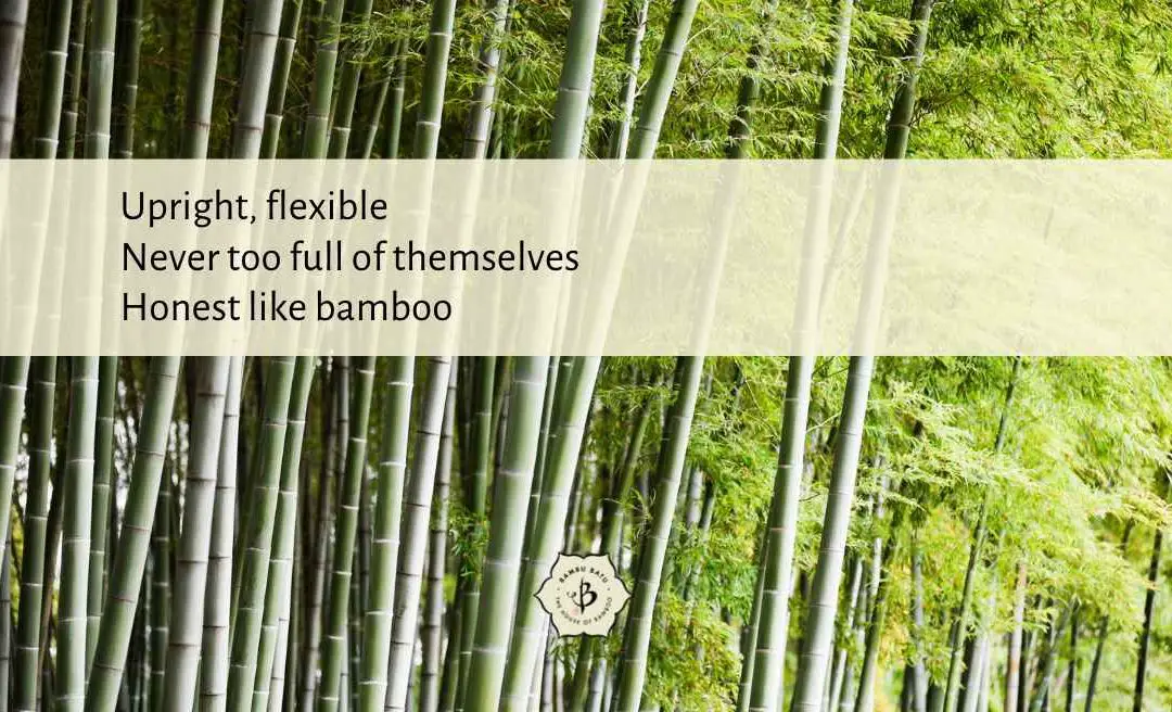 Bamboo Poetry: Haiku and other lyrical language