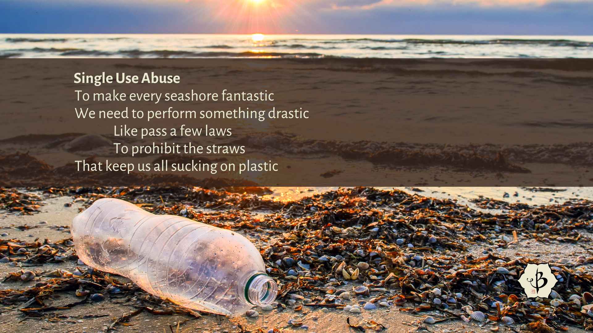 Climate Change Limerick Hornaday