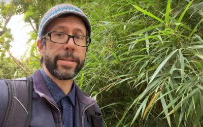 Seeking Bamboo in Spain: Venture in Valencia