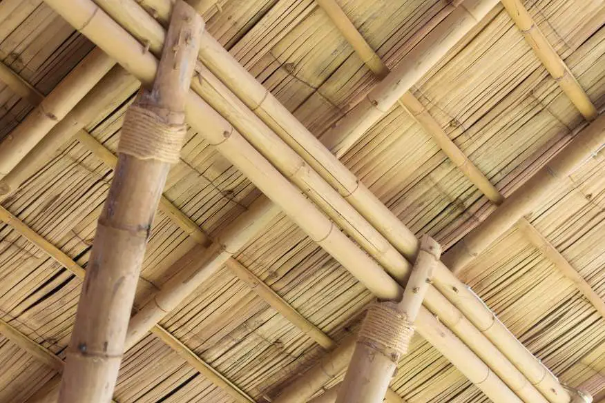Simple bamboo construction