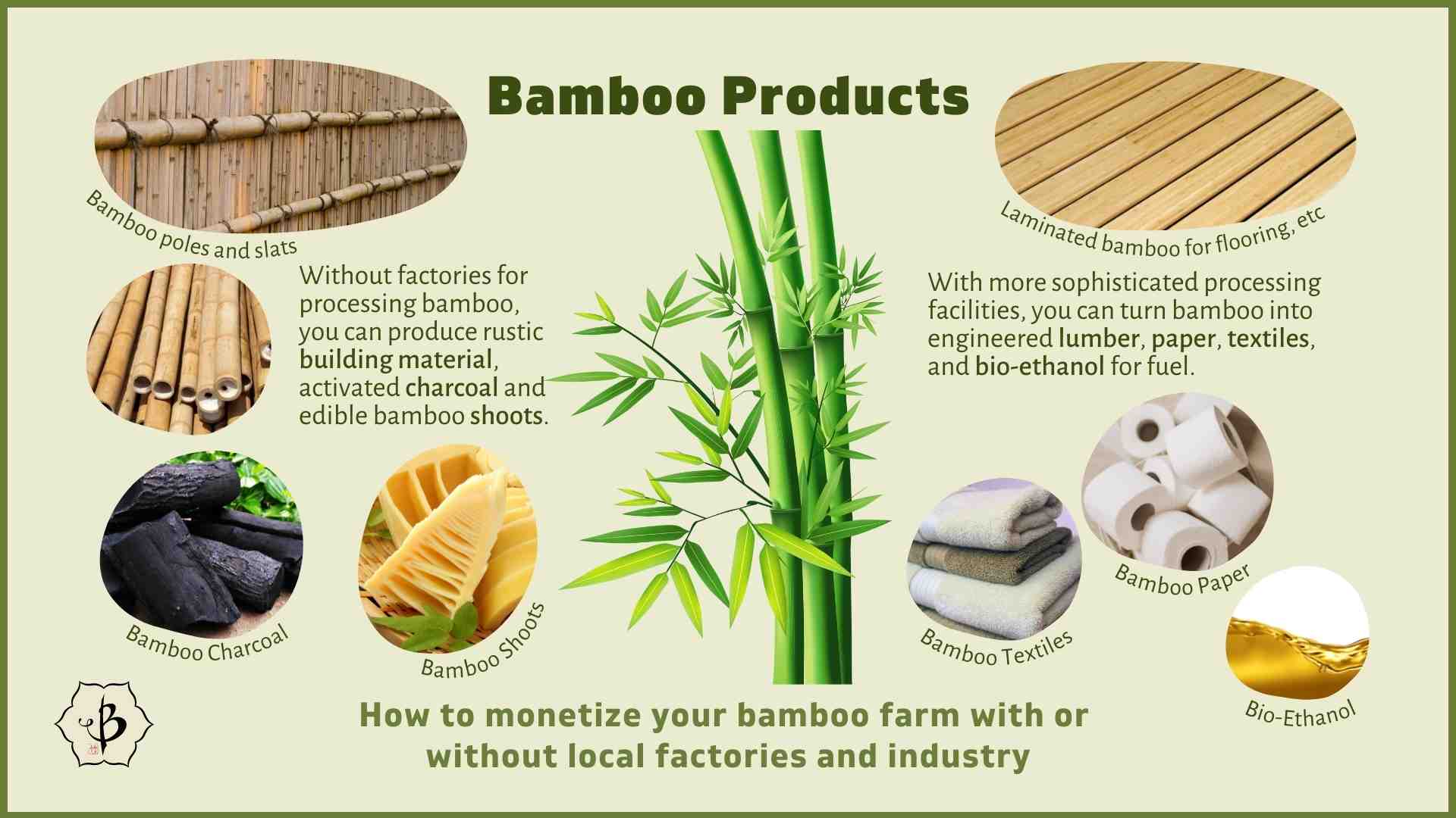 Bamboo products infographic