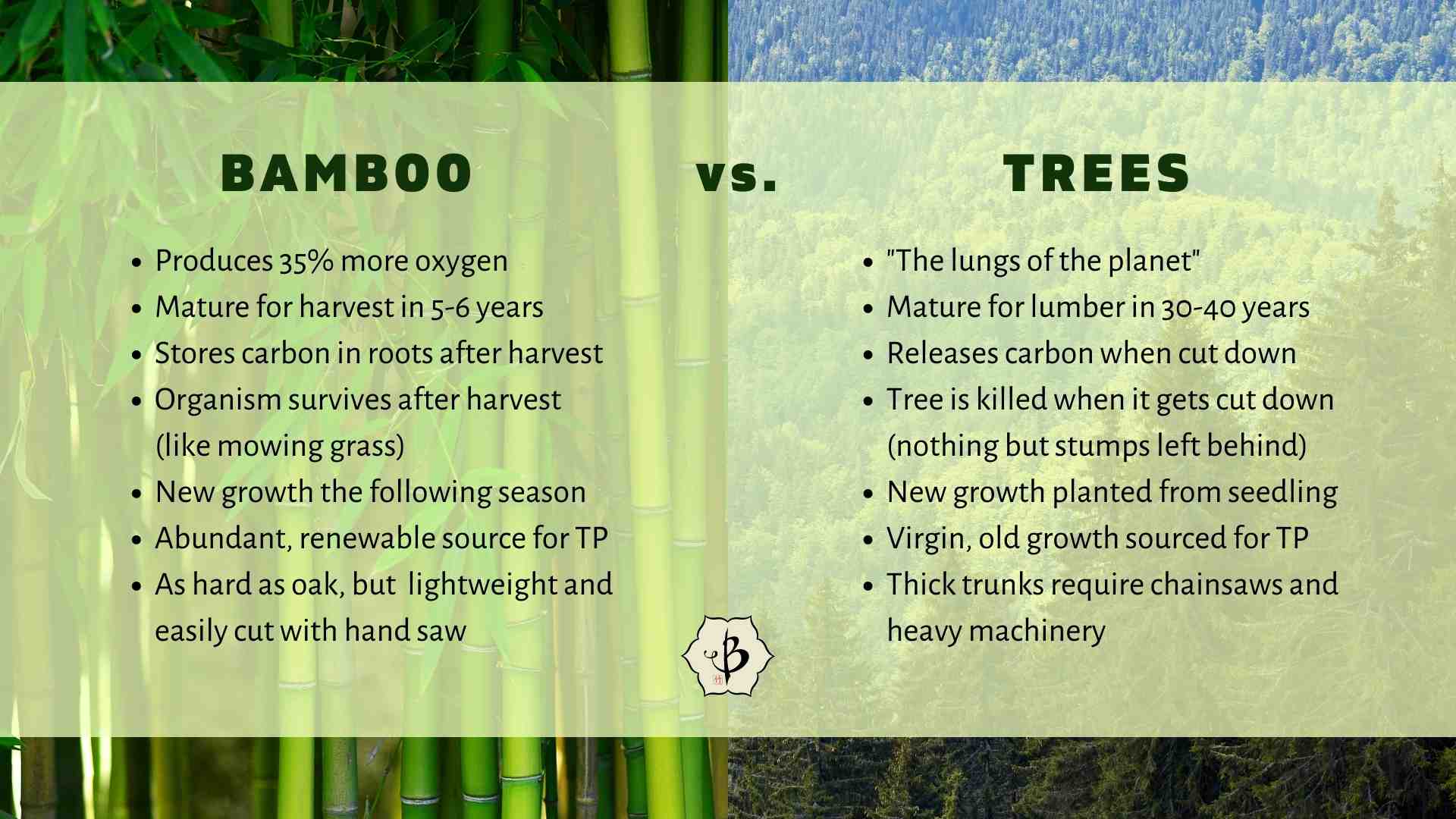 Bamboo v Trees infographic