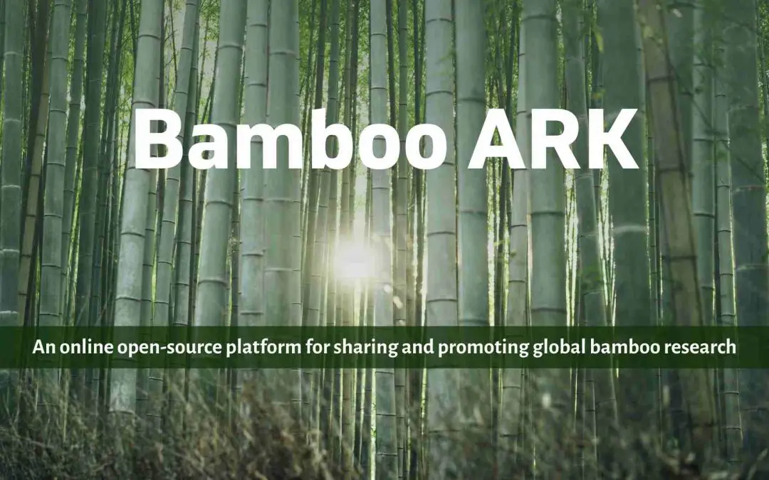 BambooArk: Open-source research archive